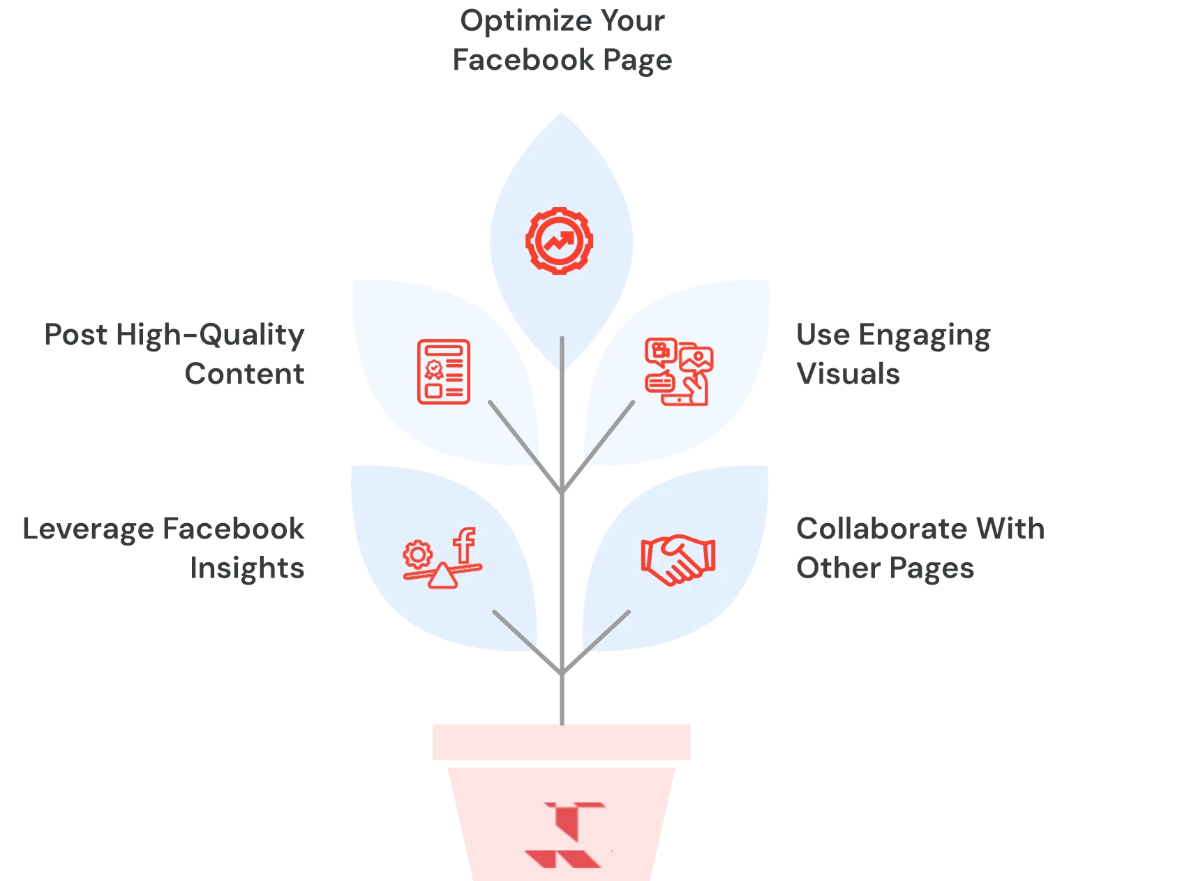 Best Organic Strategies To Grow On Facebook